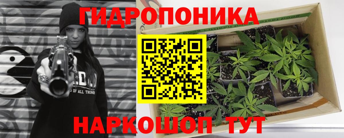 МАРИХУАНА семена Сарапул